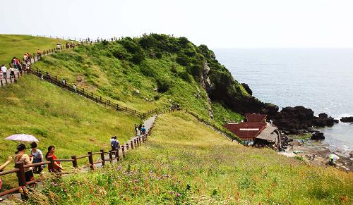 6月1日,游客游览韩国济州岛著名景点日出峰。新华社记者 姚琪琳 摄