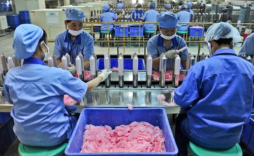 工人将生产的安全套套在模具上进行电子针孔检测(11月29日摄)。新华社记者 翟健岚 摄
