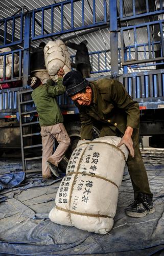 11月23日,工作人员在长春市救灾物资储备中心搬运救灾物资。新华社记者 许畅 摄