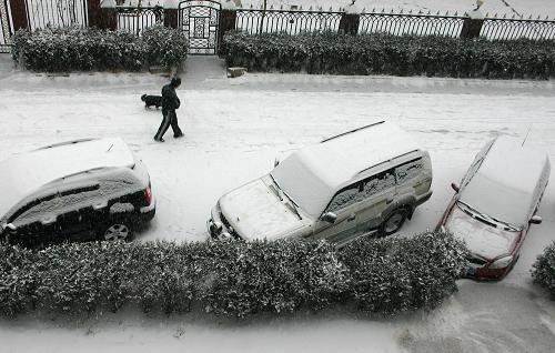 1月3日,一名行人在雪中遛狗。当日,受强冷空气影响,内蒙古自治区部分地区迎来2010年首场降雪。新华社记者 李云平 摄