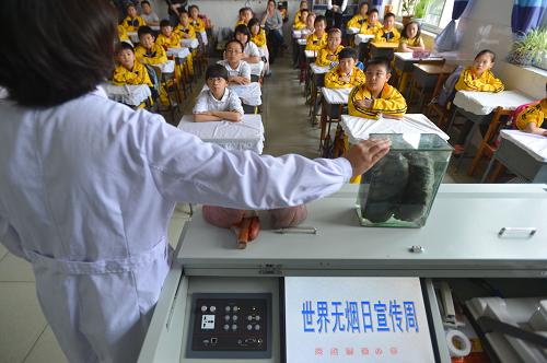 5月28日,在河北省唐山兴盛丽景小学,唐山人民医院呼吸科专家付英霞使用肺的病理标本向学生介绍烟草的危害。新华社发(郑勇 摄)