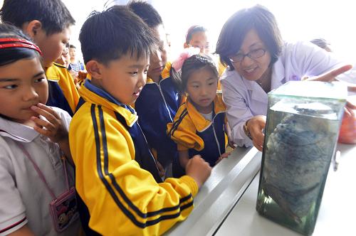5月28日,在河北省唐山兴盛丽景小学,唐山人民医院呼吸科专家付英霞使用肺的病理标本向学生介绍烟草的危害。新华社发(郑勇 摄)