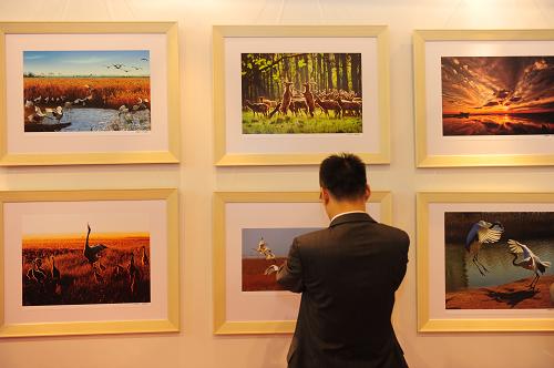 5月18日,观众在授牌仪式后观看反映盐城建市30周年生态可持续发展的摄影图片。新华社记者 沈鹏 摄