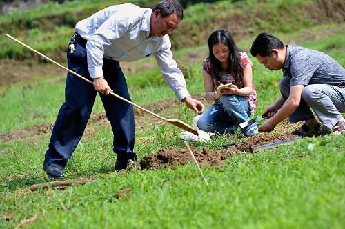 5月28日,湖北省宣恩县“土壤医生”殷月勇、朱艳红、覃孟州(从左至右)在椒园村的农田里采集土样。湖北省恩施土家族苗族自治州宣恩县农业局土肥站有7名“土壤医生”,3年多来已为全县279个行政村的土地开出7674份“土处方”,指导农民对症施肥,并制作了597份土壤标本送到省检验部门检测土壤重金属含量。开具“土处方”有着严格的操作规定,从确定地块、取土样、保存运输、实验室化验、结果论证,到最终向农民发布施肥建议,整套程序必须按部就班。据当地土肥部门介绍,随着化学肥料、农药的施放,土壤成份不断变化,“土壤医生”们不得不紧盯每一块土地,为其“号脉问诊”。近年来,土壤“健康”问题越来越受到人们的关注。均衡的土壤肥力和土壤成分能保障作物增产增收,重金属、农残等指标则关系到食用者的饮食安全。“土壤医生”通过治“土”,促进农民增收,也为饮食安全把门守关。