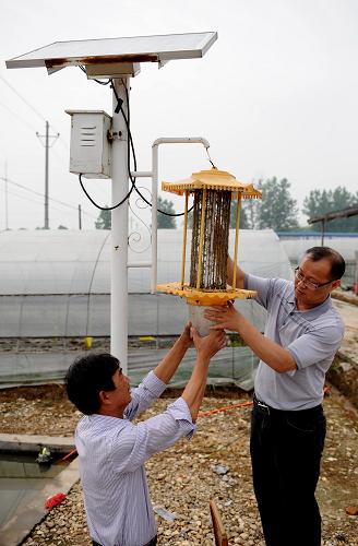 5月16日,江西崇仁县群惠蔬菜专业合作社的科技人员在清洗太阳能杀虫灯。新华社记者 宋振平 摄