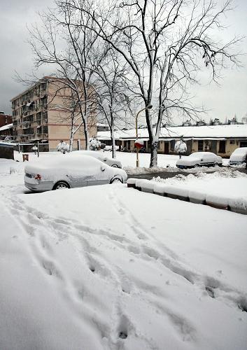 南京一小区被厚厚的积雪覆盖(2月19日摄)。新华社发(刘建华 摄)