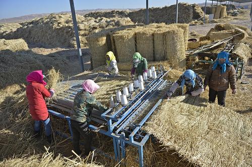 宁夏灵武市泾灵新村农民在草编园区编制草帘(12月11日摄)。宁夏灵武市泾灵新村生态移民安置点建成以来,政府加大产业发展,推动移民就业创业。目前移民村陆续引进羊绒制品加工厂、草编园区等劳动密集型产业,解决2000多名移民就业问题。 新华社记者 王鹏 摄