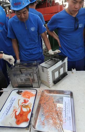 9月4日,科研人员观察“蛟龙”号潜水器采回的海底生物。新华社记者 余晓洁 摄