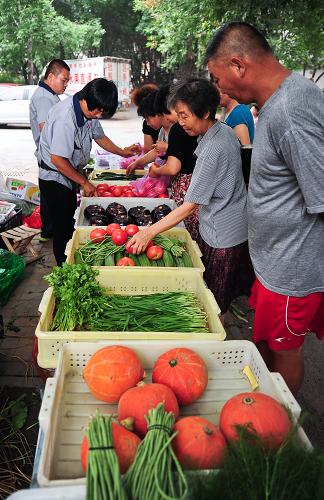 7月8日,市民在天津市河东区一蔬菜直销点选购新鲜蔬菜。新华社记者 张超群 摄