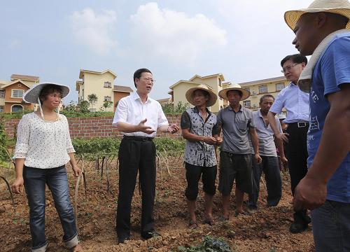 这是7月6日,张高丽在双流县南天寺村考察。新华社记者 丁林 摄