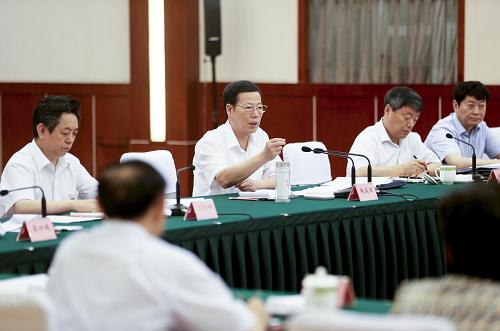 这是7月6日,张高丽在成都主持召开四川、河南、湖北、重庆、甘肃、青海六省市负责人参加的经济形势座谈会。新华社记者 丁林 摄