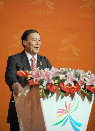 10月22日,第五届中国—东盟博览会在广西南宁开幕。这是国务院副总理王岐山宣布第五届中国—东盟博览会开幕。 新华社记者周华摄