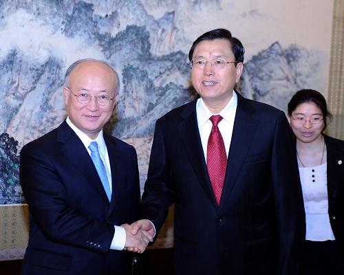8月16日,中共中央政治局委员、国务院副总理张德江在北京中南海紫光阁会见国际原子能机构总干事天野之弥。新华社记者 张铎 摄