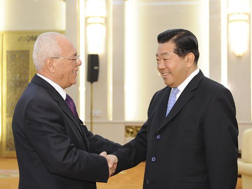 11月26日,全国政协主席贾庆林在北京人民大会堂会见巴勒斯坦民族权力机构主席府秘书长塔伊布·阿布杜·拉希姆。 新华社记者李学仁摄