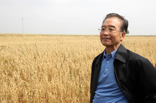 这是8月27日,温家宝在康保县丹清河乡察看万亩旱作莜麦田,了解莜麦产量、价格情况。新华社记者 姚大伟 摄