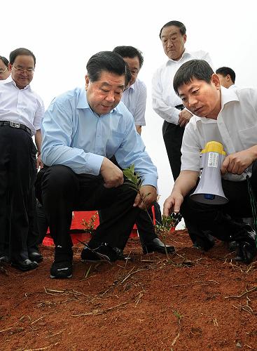 近日,中共中央政治局常委、全国政协主席贾庆林在江西调研。这是6月14日,在宜春市西村现代农业示范园,贾庆林来到田间地头,仔细了解发展现代农业、推广农业生产新技术、农民增收等情况。新华社记者 李涛 摄