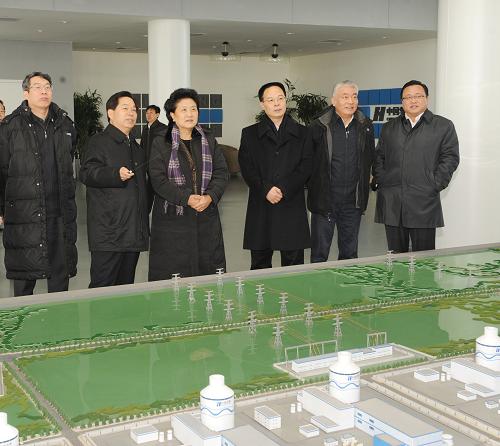 1月13日,中共中央政治局委员,国务委员刘延东在山东调研核电国家科技重大专项实施工作。这是刘延东在山东荣成石岛湾高温气冷堆展示中心听取有关情况介绍。新华社发(汤序民 摄)