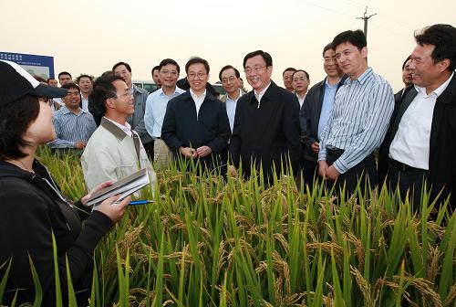 10月11日至15日,中共中央政治局常委、中央纪委书记贺国强在上海考察。这是10月13日,在上海崇明现代农业基地,贺国强与正在测查水稻产量的大学毕业生交谈。新华社记者 庞兴雷 摄