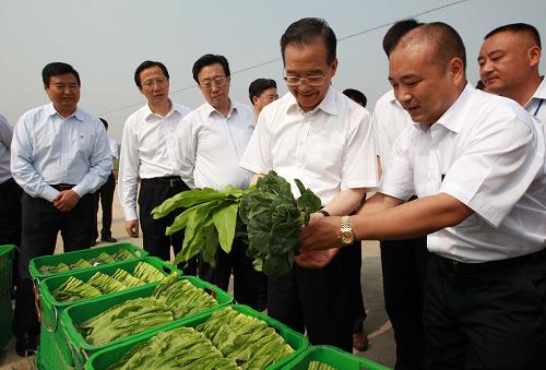 这是6月10日,温家宝在许昌县将官池镇天和万亩有机蔬菜示范基地了解蔬菜生产与价格情况。 新华社记者庞兴雷摄