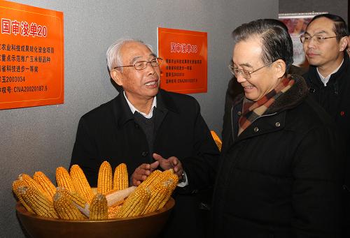 这是1月22日,温家宝来到鹤壁市农业科学院考察,听取玉米育种专家程相文介绍他们培育的“浚单20”玉米新品种。新华社记者 姚大伟 摄