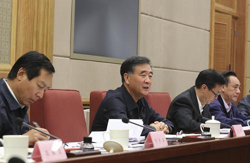 11月13日,国务院副总理汪洋在北京主持召开全国打击侵犯知识产权和制售假冒伪劣商品工作领导小组第三次全体会议。新华社记者 丁林 摄