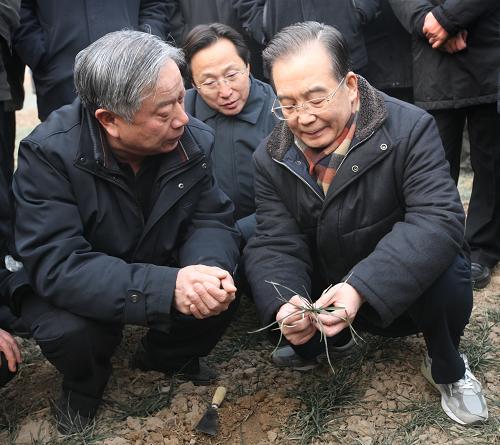 1月21日至22日,中共中央政治局常委、国务院总理温家宝在河南省就当前旱情和抗旱工作进行调研。这是1月22日,温家宝走进鹤壁市淇滨区钜桥万亩粮食高产核心示范区,向农业科技专家了解情况,实地察看旱情。新华社记者 姚大伟 摄
