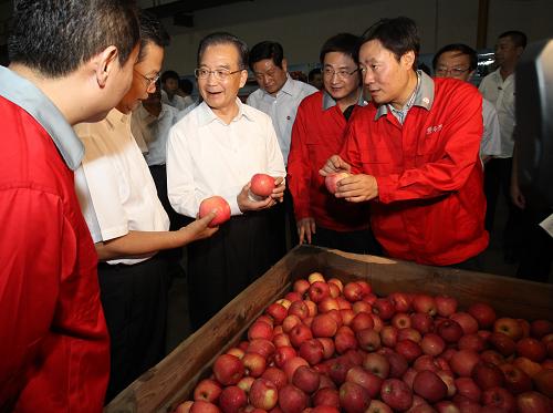 这是7月16日,温家宝在陕西华圣果业公司向企业负责人详细询问苹果出口情况。新华社记者 樊如钧 摄
