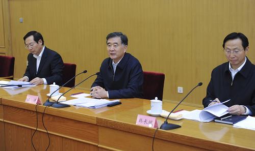 12月24日,国务院副总理汪洋在北京主持召开扶贫开发和现代种业工作座谈会。新华社记者 张铎 摄