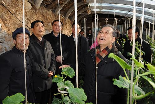 这是温家宝在偏桥村查看蔬菜大棚。新华社记者 黄敬文 摄