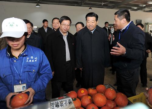 这是2月16日,贾庆林在昌平小汤山特菜基地实地察看现代农业发展情况。新华社记者 马占成 摄
