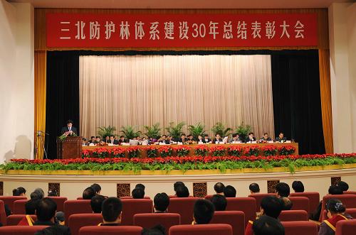 11月19日,三北防护林体系建设30年总结表彰大会在北京举行。新华社记者饶爱民摄