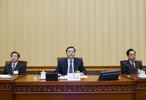 2月27日,全国人大常委会委员长张德江出席十二届全国人大常委会第七次会议闭幕会。在会议表决通过各项议案后,张德江发表讲话。 新华社记者 王晔 摄