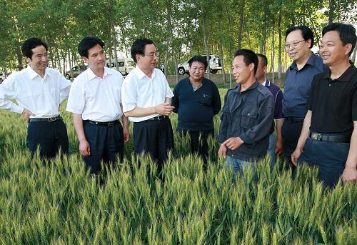 5月15日至19日,中共中央政治局常委、中央纪委书记贺国强先后来到河南省洛阳、信阳、郑州等地,深入田间地头、企业车间、居民社区、机关学校,亲切看望基层干部群众,实地了解经济社会发展和党风廉正建设情况。这是5月18日,贺国强在郑州市中牟县王庄村田埂上察看小麦长势。新华社记者 庞兴雷 摄