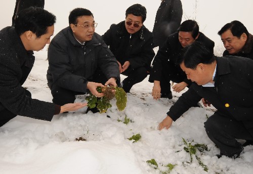 2月1日,李克强在邻水县城北镇罗解村察看蔬菜受灾情况。 新华社记者 李学仁 摄