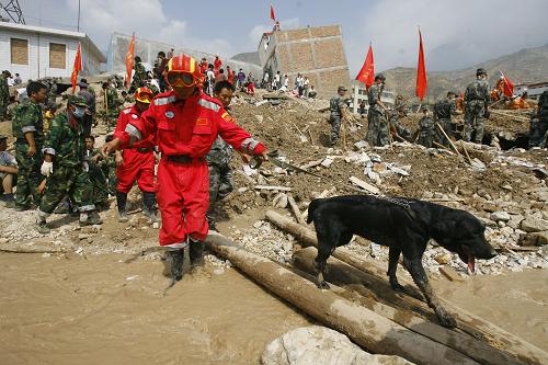 8月10日,中国国家地震救援队带着搜救犬搜寻幸存者。新华社发(亮亮 摄)