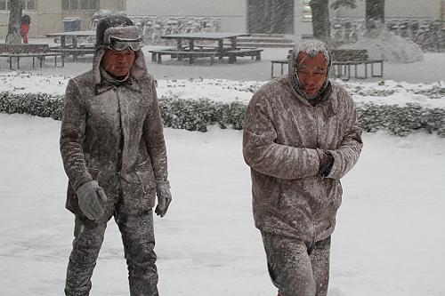 11月26日,市民在山东省烟台市芝罘岛东路冒雪出行。当日,受强冷空气影响,山东省烟台市遭遇暴雪袭击,烟台市气象台26日5时30分发布暴雪蓝色预警信号,并连续发布道路结冰黄色和大风黄色预警信号。
