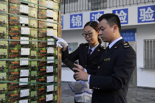 12月1日，在深圳文锦渡口岸，深圳出入境检验检疫局工作人员手持平板电脑，通过“智能验放系统”对进口水果进行检验。新华社记者 鲁鹏 摄