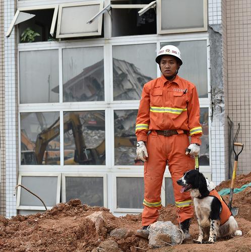 12月22日，一位救援人员和他的搜救犬在救援现场待命。