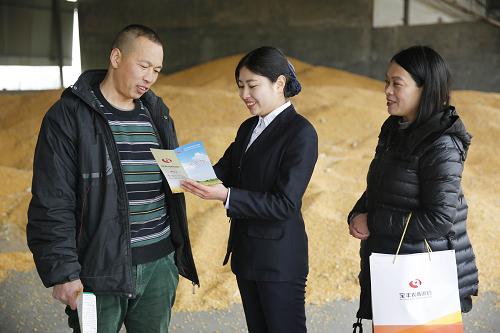 12月27日，在河南省宝丰县石桥镇李丰山村，宝丰农商银行信贷员王梦娟（右一）、刘真真（右二）来到农户王建超的粮食收购大棚里，了解他在金融方面的需求，向他介绍适合他的“兴农贷”信贷产品，解决他在粮食收售中遇到的资金困难。
