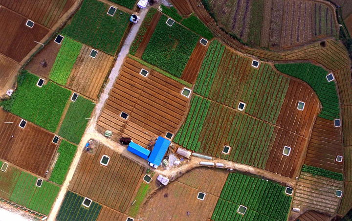 这是广西大化瑶族自治县大化镇亮山村村貌（2015年12月21日摄）。