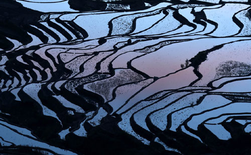 这是云南省红河州元阳县的哈尼梯田美景（1月12日摄）。