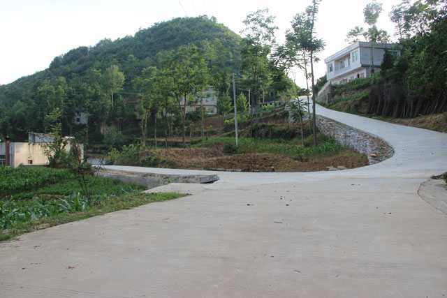 今日金坡村，面貌已经焕然一新，通村公路全面硬化，新村正在建设，乡村旅游主要节点也在紧张施工中，我们约定，春暖花开之际，再访金坡村。