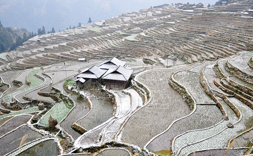 1月23日在贵州省从江县加榜梯田国家湿地公园拍摄的雪景。当日，贵州省从江县普降小雪，雪后的加榜梯田国家湿地公园犹如一幅山水画卷，别有韵味。