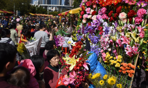 2月7日，市民在广州天河花市逛街买花。新华社记者 卢汉欣 摄