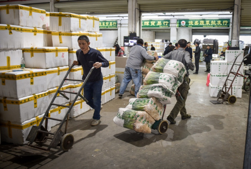 2月16日，在深圳海吉星批发市场，工人在搬运蔬菜。据深圳最大的蔬菜批发企业——海吉星国际农产品物流管理有限公司介绍，深圳一级市场的叶菜价格从春节期间的高位开始回落，菜心、香菜等部分蔬菜价格已恢复到节前水平。2016年1月下旬的寒潮让广东部分地区的蔬菜收获不足；加上春节前后人工费用增长等因素，深圳叶菜价格在春节期间出现大幅上涨，一级市场部分叶菜上涨约50%，终端市场出现叶菜价格翻倍现象。新华社记者 毛思倩 摄