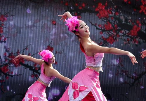 2月16日，演员在梅花节开幕式上表演歌舞《梅花引》。新华社记者 孙参 摄