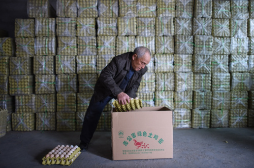2月25日，松桃县青山村富民蛋鸡养殖专业合作社的村民正在包装鸡蛋，养殖场所生产的鸡蛋几乎全部通过电商平台销售。近年来，贵州省铜仁市松桃县大力发展农村电商事业，利用淘宝、京东、苗家购等电商平台推广当地特色农牧产品、民族文化产品等，为山货出山、带动贫困地区农村经济发展找到一条新路。新华社记者 刘续 摄
