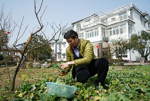 在江苏省苏州市吴中区东山镇三山岛三山村，农家乐福明山庄的老板黄学斌在家门口给客人准备午餐食材（2月20日摄）。三山村位于太湖中的一个孤岛，2001年开始走生态富民之路，大力开发旅游业。旅游业留下的大量污染物威胁着小岛的生态环境，三山村拆围网，建湿地、污水处理厂和餐厨垃圾处理站。目前，三山村已建起近9000亩的湿地公园。2015年，这个人口仅800余人的小村庄门票收入达到1500万元，人均收入达42000元。