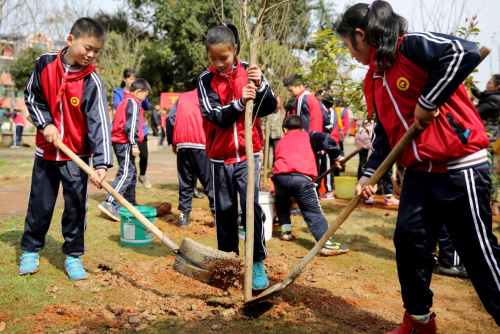 3月11日，江西万年县第四小学学生在珠溪河开展植树活动。植树节来临，江西万年县第四小学开展“生态文明，从我做起”主题植树活动，120名学生在园林技术人员的指导下栽下一株株树苗。新华社发（徐声高 摄）
