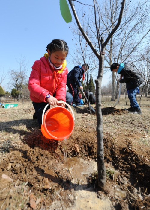 3月11日，烟台市潇翔小学学生在滨海路森林公园给小树浇水。当日，山东省烟台市潇翔小学举行“我与小树共成长”主题活动，学生们以实际行动为城市增添绿色，美化生活环境。新华社发（初阳 摄）